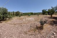 7020 SQM Land in Agios Dimitrianos (Paphos) for sale 