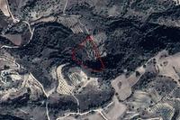 9365 SQM Land · Lemona (Paphos) for sale 
