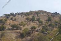 16175 SQM Land in Pentalia (Paphos) for sale 