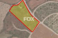 7693 SQM Land in Kathikas (Paphos) for sale 
