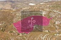 30988 SQM Land in Vouni (Limassol) for sale 