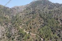 5686 SQM Land in Sykopetra (Limassol) for sale 