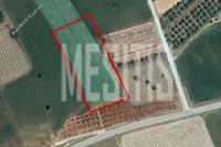 5686 SQM Plot in Alaminos (Larnaca) for sale 