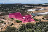 6981 SQM Land · Protaras (Famagusta) for sale 