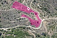 12942 SQM Land · Dierona (Limassol) for sale 