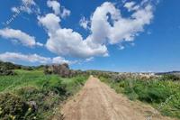 5017 SQM Land in Tochni (Larnaca) for sale 