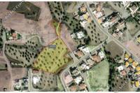 8919 SQM Land in Kornos (Larnaca) for sale 