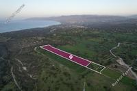24750 SQM Land in Neo Chorio (Paphos) for sale 