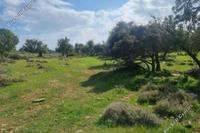 8362 SQM Land · Anogyra (Limassol) for sale 