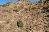 2007 SQM Land in Palaichori Morfou (Nicosia) for sale 