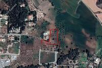 1896 SQM Land in Kornos (Larnaca) for sale 
