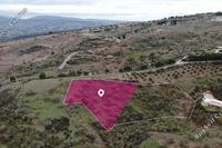 7693 SQM Land in Drousia (Paphos) for sale 
