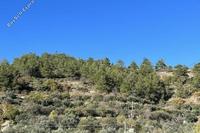 6360 SQM Land · Palaichori Morfou (Nicosia) for sale 
