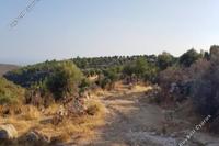 12375 SQM Land · Pachna (Limassol) for sale 