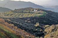 8383 SQM Land in Kellaki (Limassol) for sale 