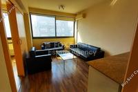  Office in Nicosia Walled Old City (Nicosia) to rent 