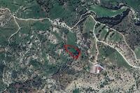 4683 SQM Land in Episkopi Pafou (Paphos) for sale 