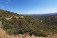 23412 SQM Land in Ora (Larnaca) for sale 