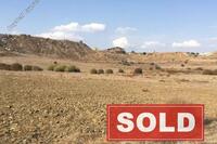 10786 SQM Land in Dali (Nicosia) for sale 