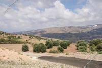 8027 SQM Land in Episkopi Pafou (Paphos) for sale 