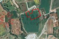 7135 SQM Land in Agios Theodoros Larnacas (Larnaca) for sale 