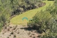 2676 SQM Land in Klirou (Nicosia) for sale 