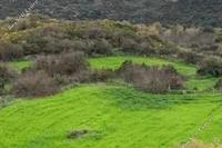 1673 SQM Land in Terra (Paphos) for sale 