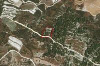 3345 SQM Land in Salamiou (Paphos) for sale 