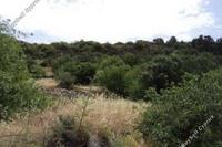 1673 SQM Land · Terra (Paphos) for sale 