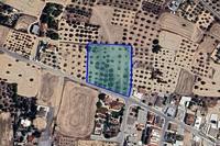 8630 SQM Plot in Athienou (Larnaca) for sale 