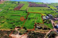17057 SQM Land · Agios Theodoros Larnacas (Larnaca) for sale 