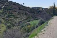 4943 SQM Land in Lythrodontas (Nicosia) for sale 