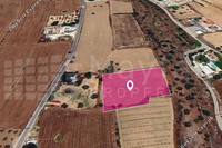 3011 SQM Land in Pera Orinis (Nicosia) for sale 