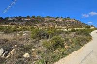 13060 SQM Land · Dora (Limassol) for sale 