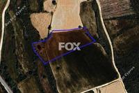 6689 SQM Land · Kathikas (Paphos) for sale 