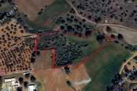 7020 SQM Land in Kornos (Larnaca) for sale 