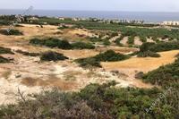 5369 SQM Land · Sea Caves Peyia (Paphos) for sale 