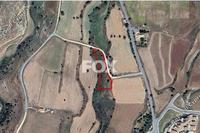 2702 SQM Land in Anarita (Paphos) for sale 
