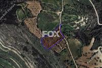 6021 SQM Land · Kritou Tera (Paphos) for sale 