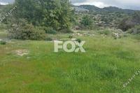1134 SQM Land · Agridia (Limassol) for sale 
