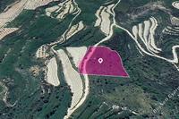 8027 SQM Land · Koili (Paphos) for sale 