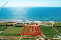 8801 SQM Land · Ormideia (Larnaca) for sale 