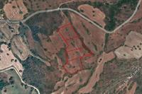 11714 SQM Land · Kritou Tera (Paphos) for sale 