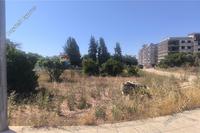 556 SQM Plot in Zakaki (Limassol) for sale 