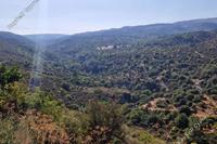 9031 SQM Land in Anogyra (Limassol) for sale 