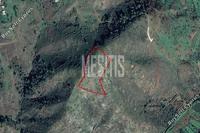 10703 SQM Plot in Pigenia (Nicosia) for sale 
