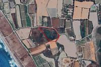 12562 SQM Land in Akrotiri (Limassol) for sale 