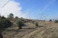 11372 SQM Land · Lasa (Paphos) for sale 