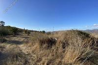 11372 SQM Land · Lasa (Paphos) for sale 