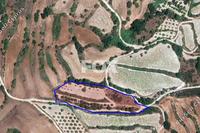 6715 SQM Land in Polemi (Paphos) for sale 
